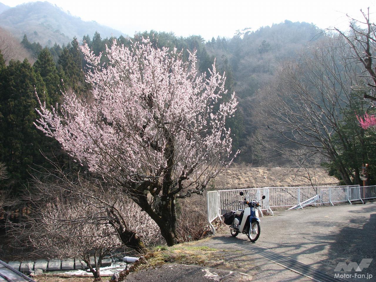 I went to Doshi Road, a mecca for riders in the Tokyo metropolitan area! | Easy Cub Touring Part 7: Doshi Village, Yamanashi