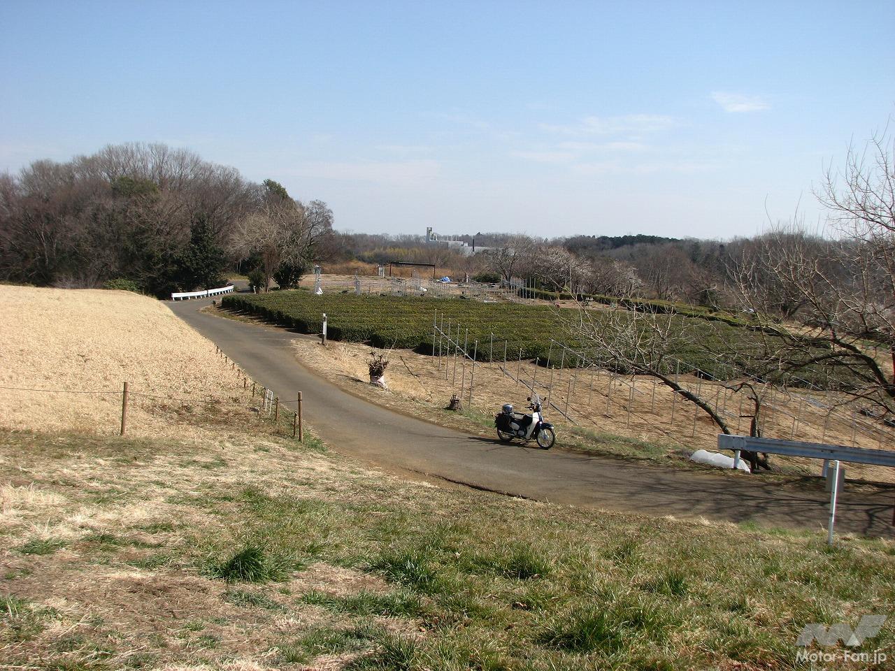 Enjoy the spectacular views and dirt roads of the Sayama Hills! Easy Cub Touring Part 6: Lake Tama and Lake Sayama