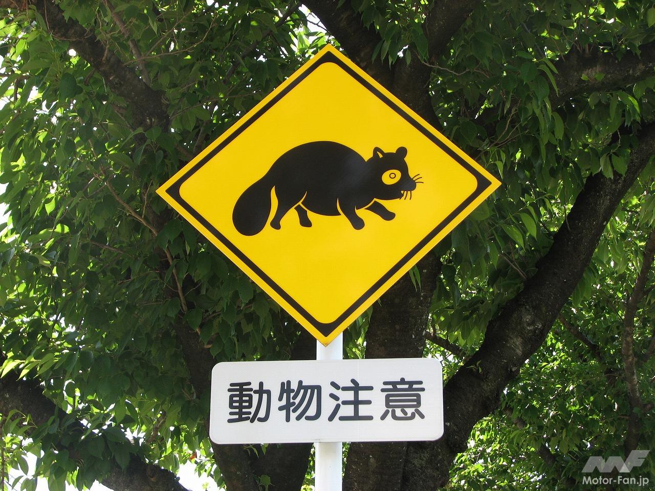 A pilgrimage to the Ghibli anime holy sites in Tokyo’s Tama area. Yuru Cub Touring Part 10