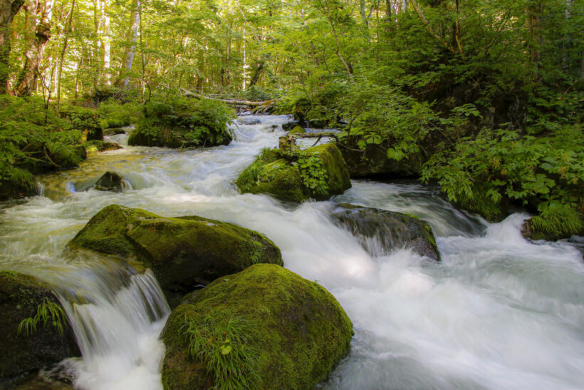 [Towada City, Aomori Prefecture] A great touring spot to visit by motorcycle: Oirase Gorge, where the clear air is pleasant.
