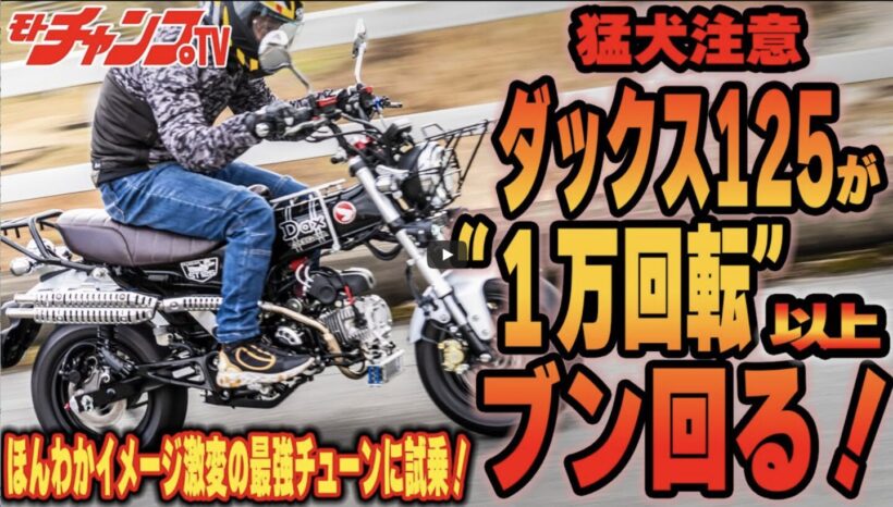 The most powerful Dax 125 engine is born! How does the SP Takegawa 4-valve head perform? [Video: Moto Champ TV]