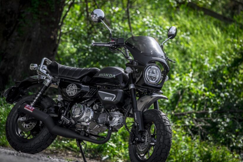 Introducing tips to improve your monkey’s appearance with low-difficulty custom techniques [17th Monkey Meeting in Tama