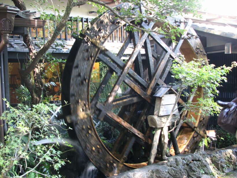 Taste the freshest autumn soba at a nearby tourist spot. Yuru Cub Touring No. 14: Jindaiji Temple, Chofu City